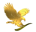 Résultat de recherche d'images pour "logo forever living png"